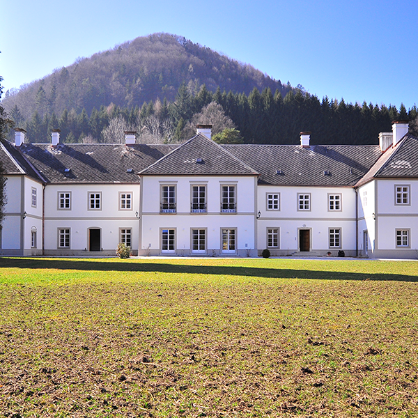 Schloss Ginselberg Kernsanierung